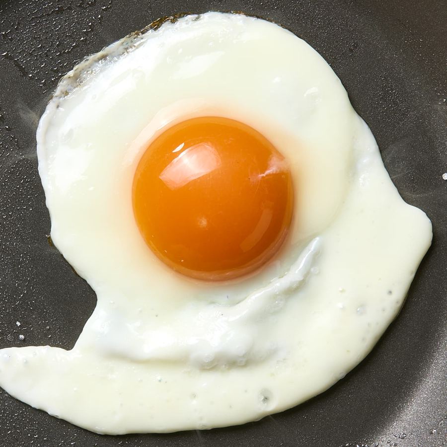 Foto Egg Karnivor
