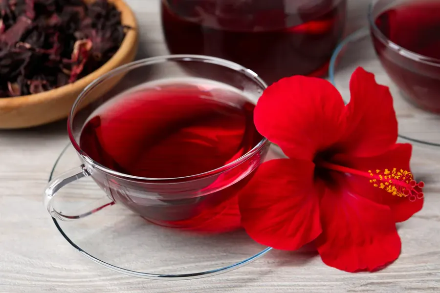 Foto Hibiscus Flower Tea Karnivor