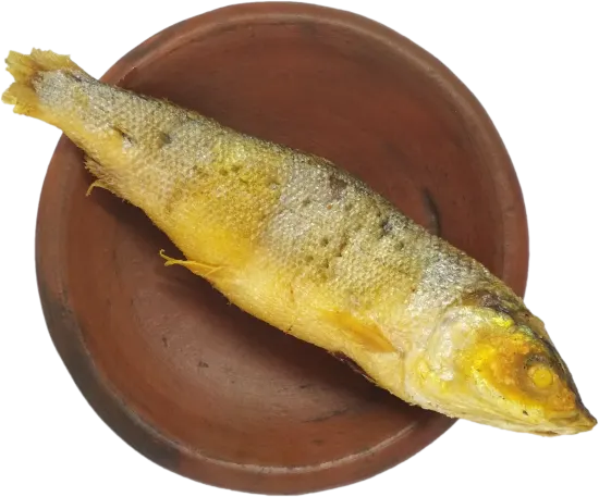 Foto Ikan Bandeng