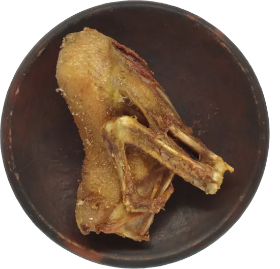 Foto Bebek Dada